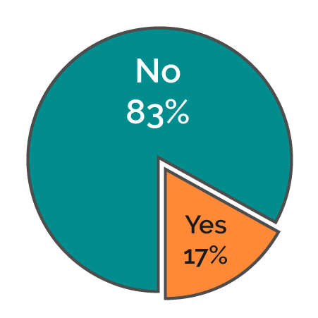 Pie chart — "Did you experience any technical issues?"
