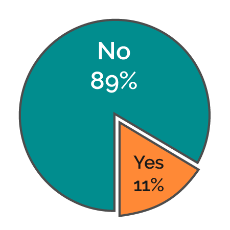 Pie chart — Did you have technical issues?