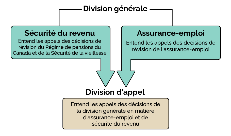 Organigramme. La version textuelle suit.