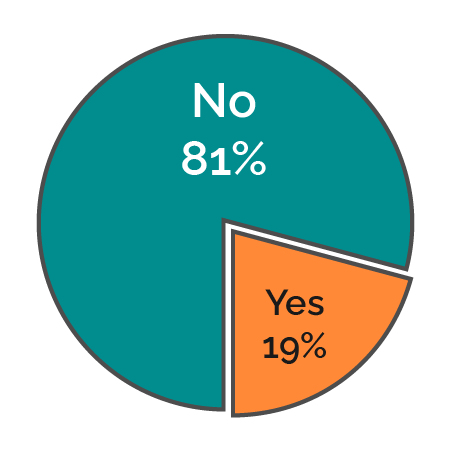 Technical issues pie chart